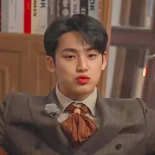 Sticker from Ragas as mingyu @ragassaputra
