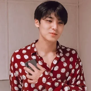 🦅 emoji Ragas as mingyu @ragassaputra Telegram sticker 9 of 61