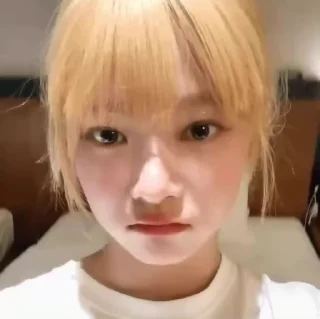 🦜 emoji Eunchae 4.0 by @aratickers Telegram sticker 10 of 50