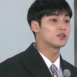 Sticker from @STIKERSVT : Mingyu CATCH STOCK #1 #2