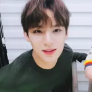 Sticker from Mingyu by @aratickers