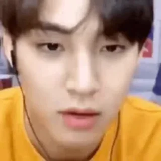 🦜 emoji Mingyu by @aratickers Telegram sticker 21 of 34