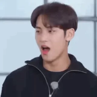 🦜 emoji Mingyu by @aratickers Telegram sticker 24 of 34