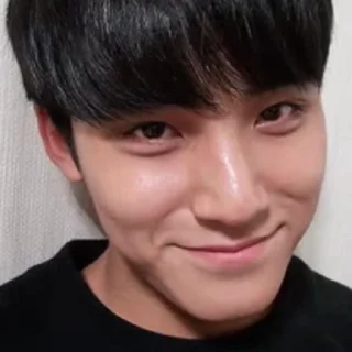 🦜 emoji Mingyu by @aratickers Telegram sticker 14 of 34