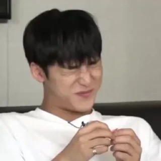 🦜 emoji Mingyu by @aratickers Telegram sticker 20 of 34