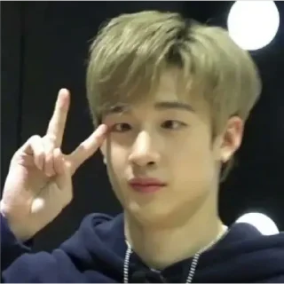 ✌️ emoji StrayKids Telegram sticker 14 of 120