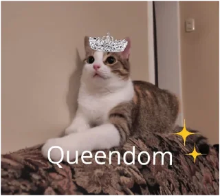 👑 emoji Mila Love Bot Telegram sticker 12 of 52