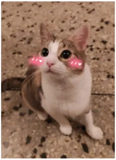 ☺️ emoji Mila Love Bot Telegram sticker 3 of 52