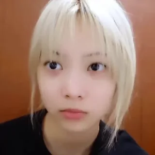 🦜 emoji Eunchae 3.0 by @aratickers Telegram sticker 13 of 50