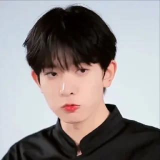🦜 emoji Heeseung by @aratickers Telegram sticker 20 of 50