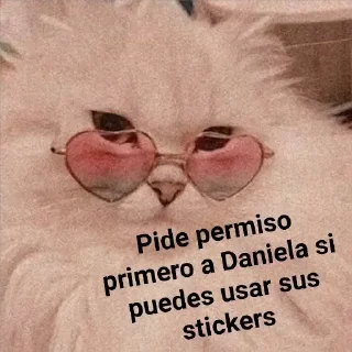 Sticker from Gatos - Dani °>_<°