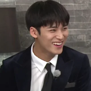 Sticker from Mingyu @stikersvt