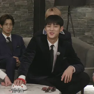 Sticker from Mingyu @stikersvt