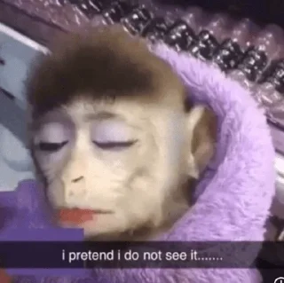 Sticker from cutie monkey by irin＾∇＾