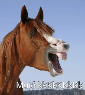 😂 emoji Gado Alpha de Valor Telegram sticker 20 of 120