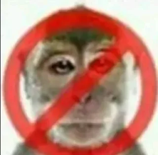 🐵 emoji Ale Telegram sticker 9 of 16