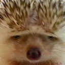 😞 emoji 😔 Telegram sticker 15 of 105