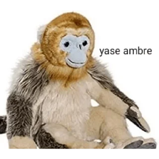 😥 emoji MEMES CHISYOSOS - [Instagram: @WiStickers] Telegram sticker 21 of 24