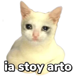 Sticker from Stickers Memes Pack 17 by Eɪᴅᴀɴ 〄