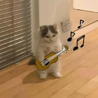 Sticker from gato foda