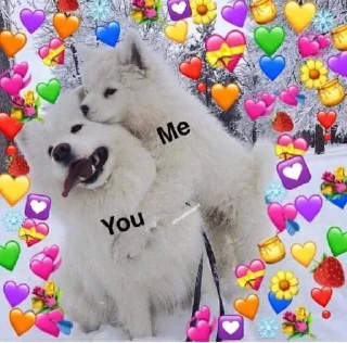 😘 emoji Samoyedo Jota Telegram sticker 8 of 49