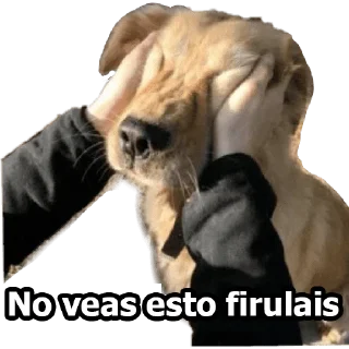 😲 emoji MEMES DE PERROS - [Instagram: @WiStickers] Telegram sticker 7 of 26