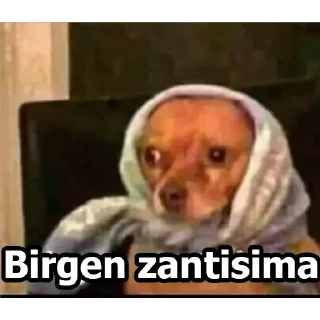 🤨 emoji MEMES DE PERROS - [Instagram: @WiStickers] Telegram sticker 8 of 26