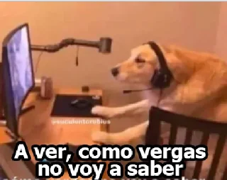 🤨 emoji MEMES DE PERROS - [Instagram: @WiStickers] Telegram sticker 22 of 26