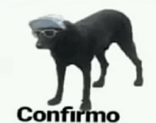 👍 emoji MEMES DE PERROS - [Instagram: @WiStickers] Telegram sticker 13 of 26