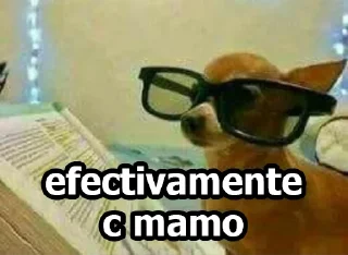 🤓 emoji MEMES DE PERROS - [Instagram: @WiStickers] Telegram sticker 18 of 26