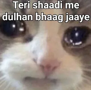 👀 emoji Attyachari billa 😿  @phoenixSticker Telegram sticker 6 of 58