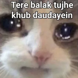 👀 emoji Attyachari billa 😿  @phoenixSticker Telegram sticker 9 of 58