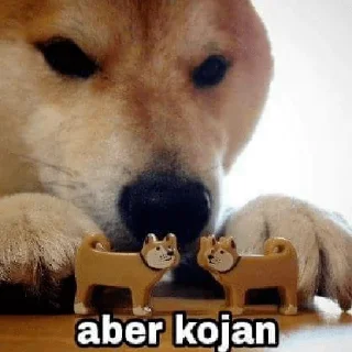 Sticker from MEMES DE PERROS - [Instagram: @WiStickers]