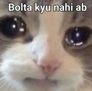 👀 emoji Attyachari billa 😿  @phoenixSticker Telegram sticker 18 of 58