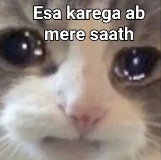 👀 emoji Attyachari billa 😿  @phoenixSticker Telegram sticker 2 of 58