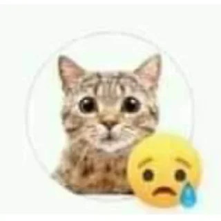 😢 emoji que Telegram sticker 5 of 37