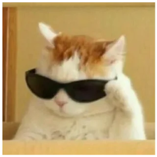 😼 emoji Shitpost Telegram sticker 15 of 30