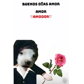 🌸 emoji Jose JoseLover (kenneth) Telegram sticker 19 of 24