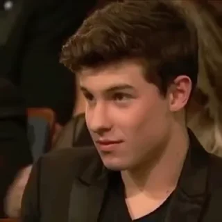 🌟 emoji Shawn mendes @canadznfry Telegram sticker 8 of 71