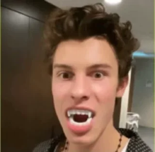 🌟 emoji Shawn mendes @canadznfry Telegram sticker 10 of 71