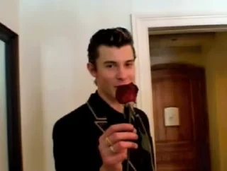 🌟 emoji Shawn mendes @canadznfry Telegram sticker 15 of 71