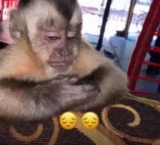 😔 emoji monkey, J. @thdolyn Telegram sticker 14 of 28