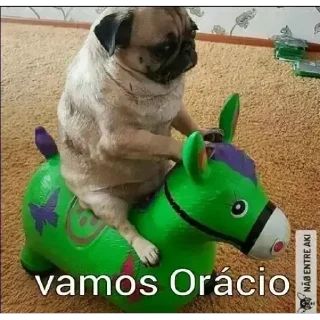 🐶 emoji Eduardo Steal Pack Telegram sticker 10 of 111