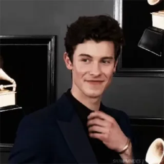 🌟 emoji Shawn Mendes Telegram sticker 15 of 46