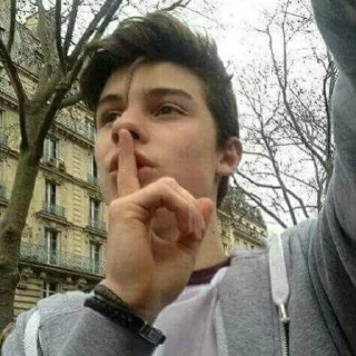 🤫 emoji Shawn Mendes reacts Telegram sticker 21 of 98