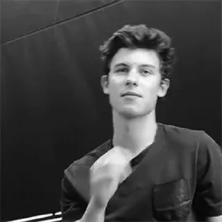 🌟 emoji Shawn Mendes Telegram sticker 9 of 46