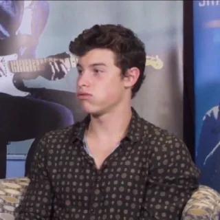 🙄 emoji Shawn Mendes reacts Telegram sticker 15 of 98