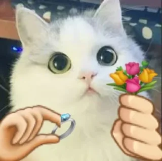🤔 emoji Pepe Steal Pack 3 Telegram sticker 15 of 120