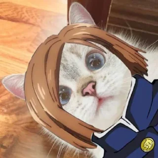 😺 emoji Jujutsu kaisen Telegram sticker 15 of 117