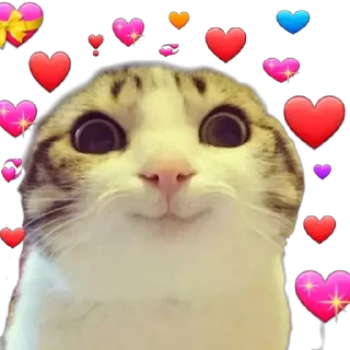 ❤️ emoji D E X T E R @lbrabo Telegram sticker 14 of 46